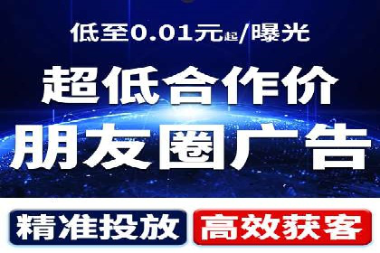 谷歌竞价广告的投放策略与成功案例分析